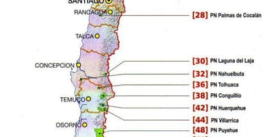Mapa футалеуфу, Chile
